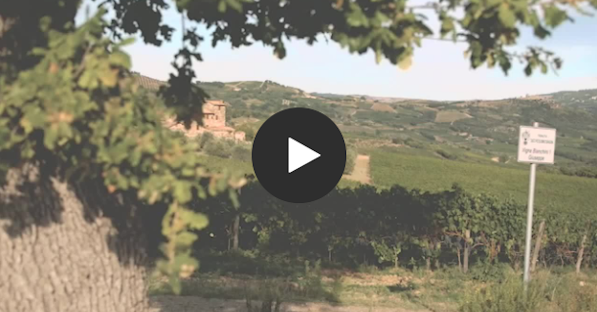 Ciacci Piccolomini d’Aragona winery creates a perfect blend of tradition and technology with Microsoft Teams