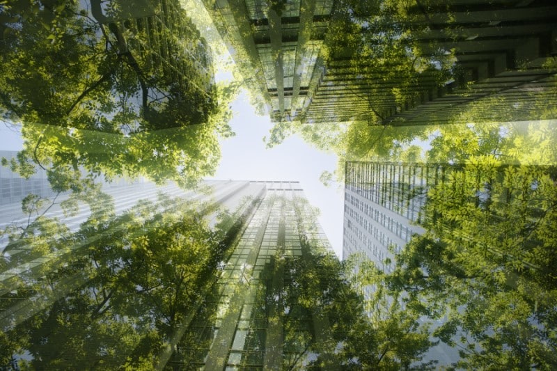 Upward view through skyscrapers and tree canopy.