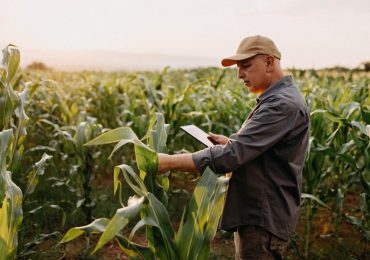 World Agri-Tech 2024: Pioneering agriculture resilience with AI