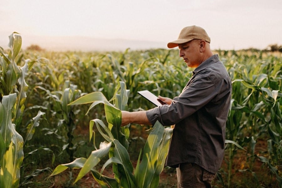 World Agri-Tech 2024: Pioneering agriculture resilience with AI