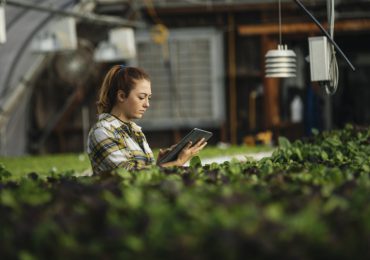 AgPilot: Enhancing productivity and efficiency with AI for smarter farming